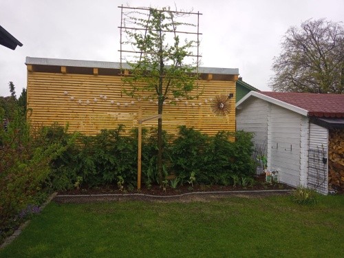 Kleine grüne Oase mit verschiedenen Pflanzen