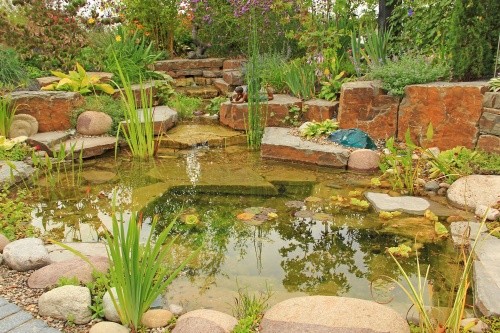 Gartengestaltung mit Naturteich und passender Bepflanzung