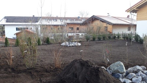 Gartengestaltung mit verschiedenen Büschen